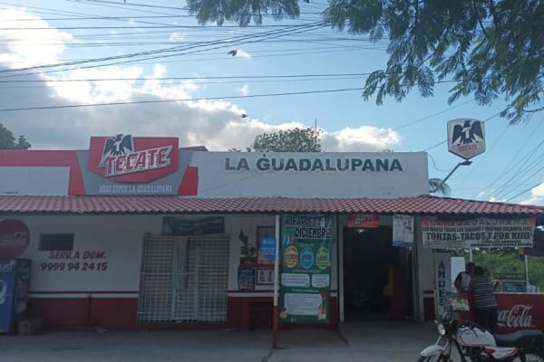 Minisuper LA GUADALUPANA