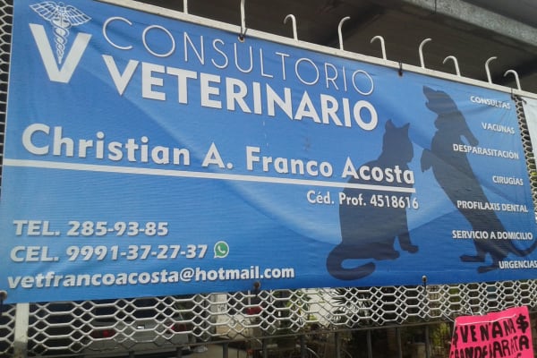 CONSULTORIO VETERINARIO