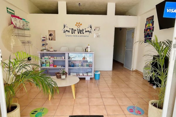 Dr vet Servicios Médicos Veterinarios