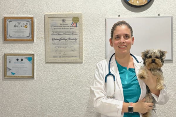 Mi Mundo Peludo - Hospital Veterinario