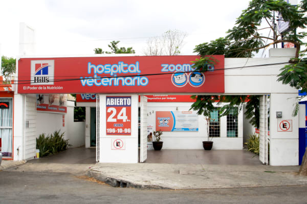 Veterinary Center Zoomania