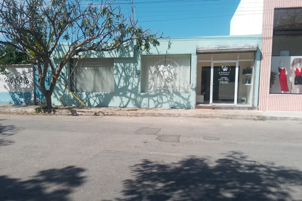 Exovet Clínica Veterinaria