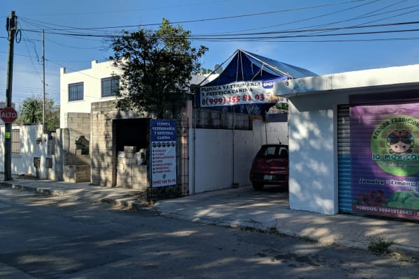 Dogos clinica veterinaria