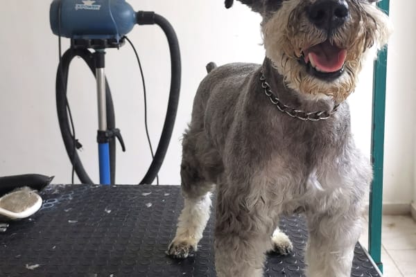 Clínica Veterinaria Fausto