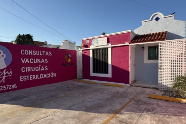 Michi Vet
