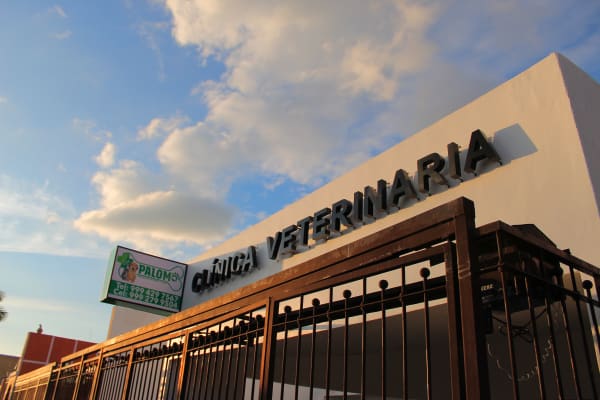 Clínica Veterinaria Palomo