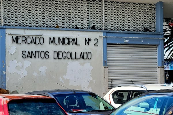 Mercado Municipal No 2 Santos Degollado