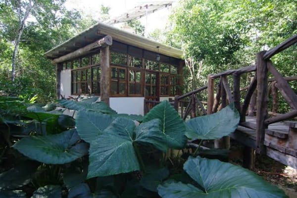 Casita Milagros - A Jungle Tree House