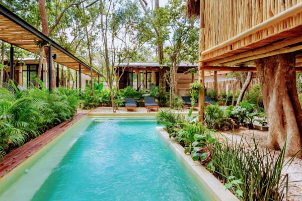 Mayur Tulum