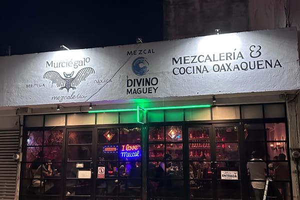 Murciégalo