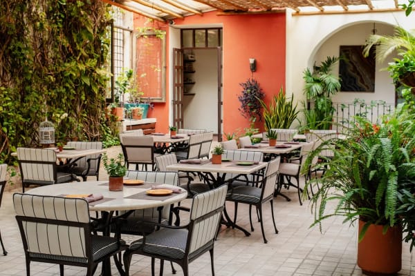 Restaurante El Jardín - Mañanas & Café / Mornings & Coffee