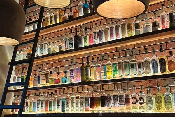 Axno Agave Bar