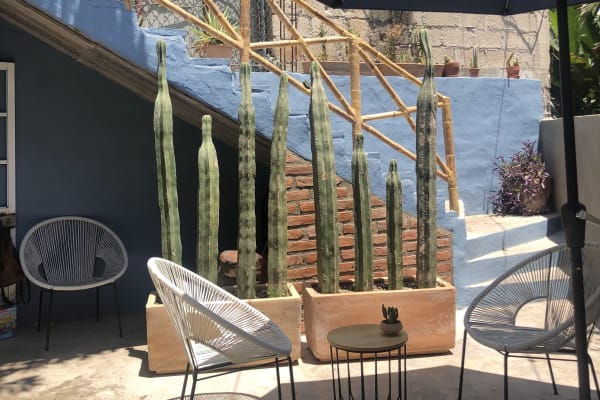 MISCELANEA SAYULITA