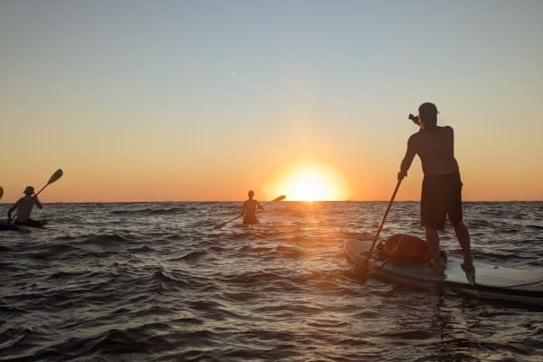 Sunset Paddle Tours