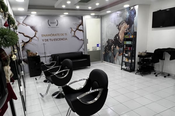 Salón Dasovy