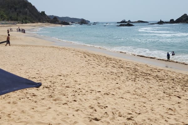 Qué hacer en Mazunte