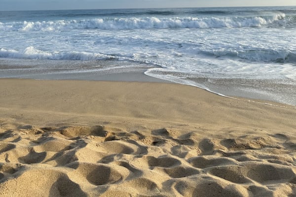 Playa la pastora