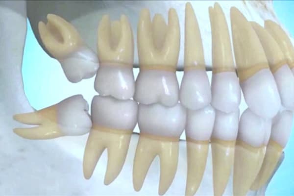 INTEGRAL DENTISTRY PROFESSIONAL