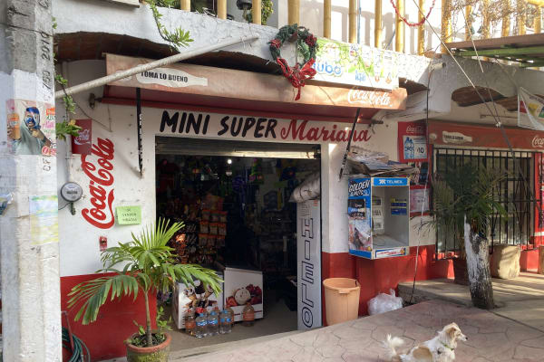 Minisuper Mariana