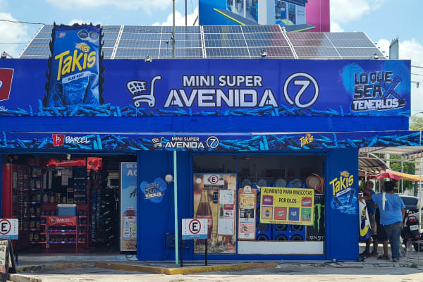 Mini súper Avenida 7