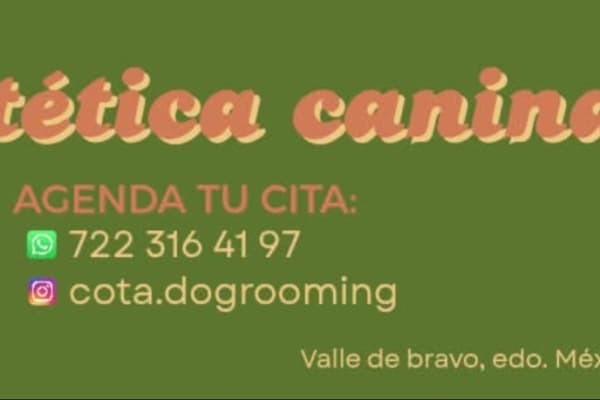 COTA Dog Grooming