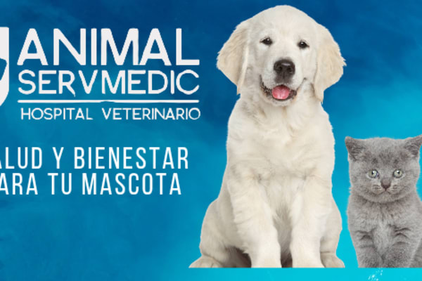 Animal Servmedic