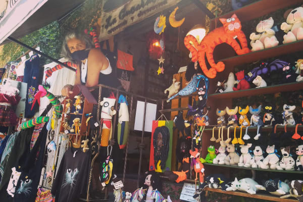 La Cucaracha. Artesania y Decoración.