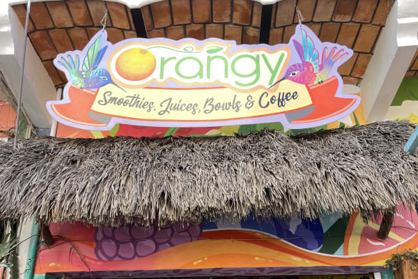 Orangy Smoothies