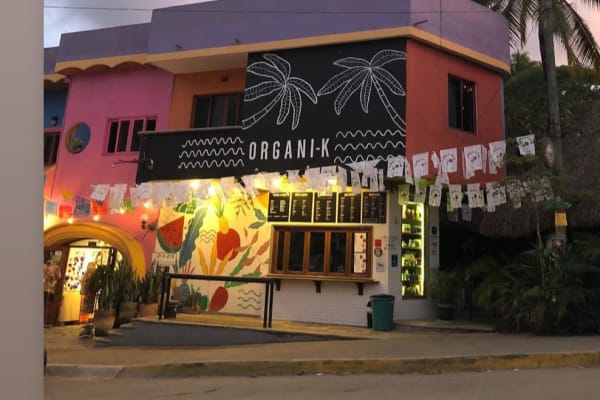ORGANI-K Sayulita
