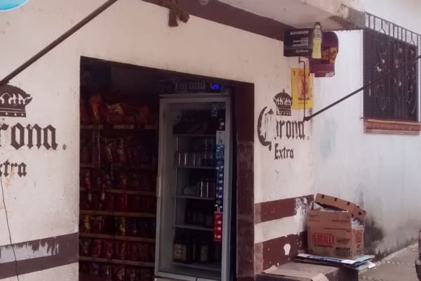 Abarrotes el Surtidor