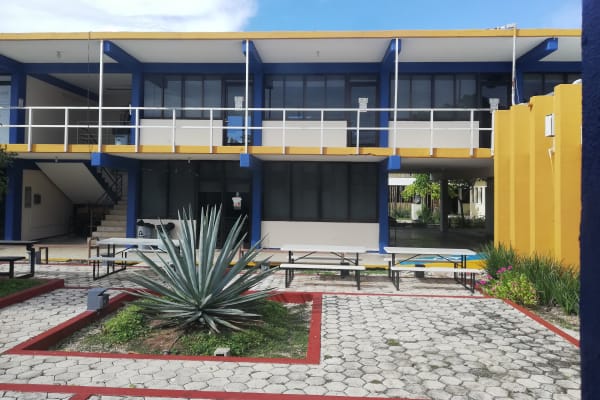 Institutional Center for Languages ​​(CIL) - UADY
