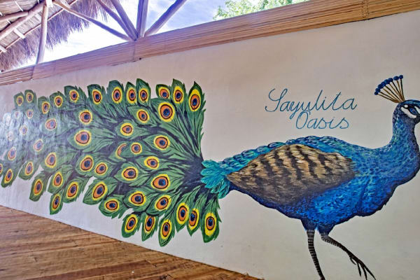 Sayulita Oasis
