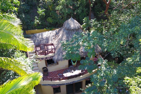 Tailwind Jungle Lodge