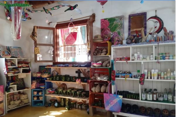 Tienda Piña Palmera