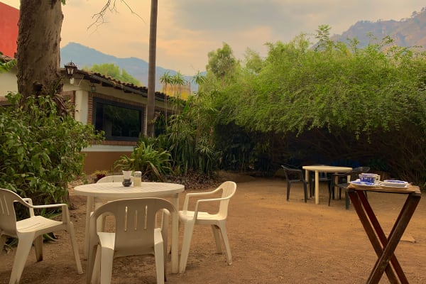 Café Mozart