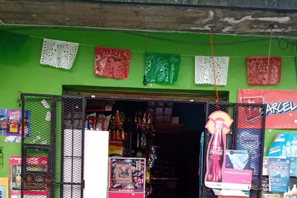 Abarrotes Pérez