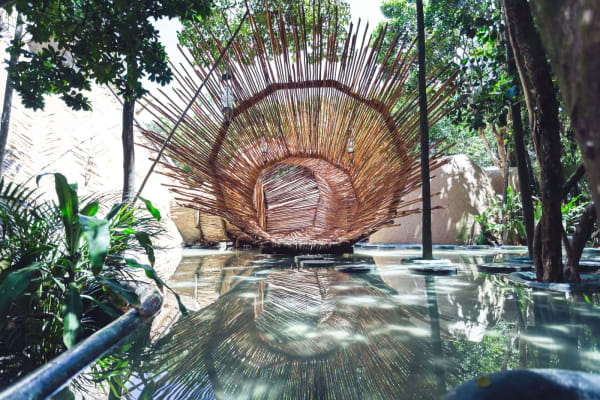 AZULIK Wellness
