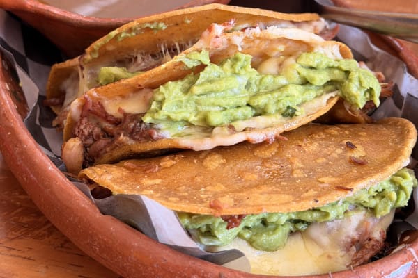 La Birria Altabrisa