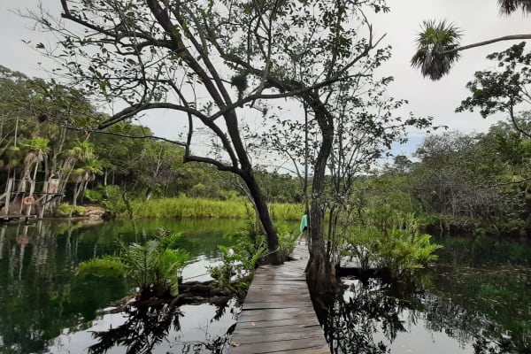 Cenote Corazón del Paraíso