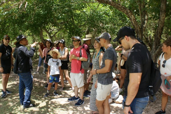 Kuxtal Tours