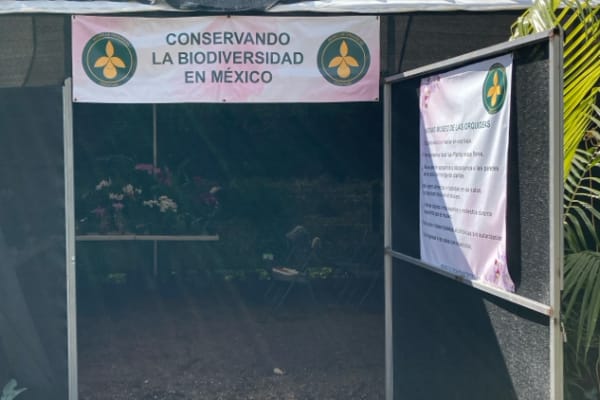 Museo de Orquídeas Tepoztlan