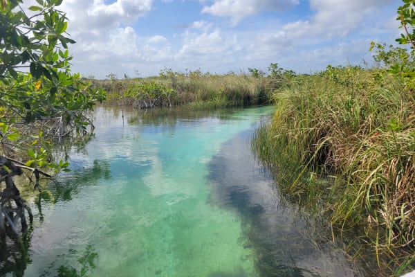 Laguna Tours Muyil
