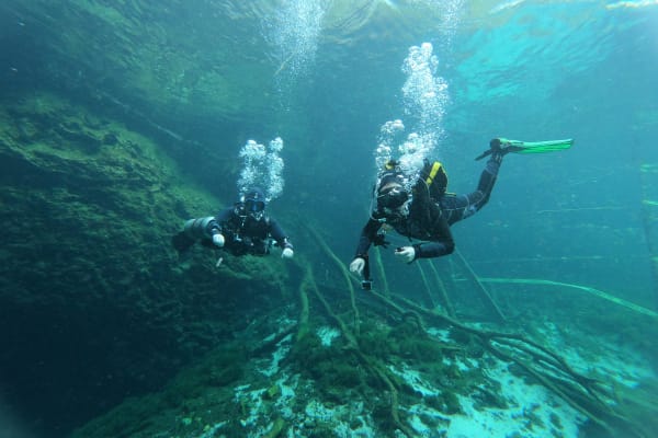 Go Dive Mexico
