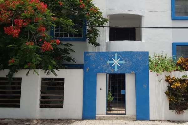 Clínica Médica Quiropráctica Tulum