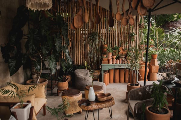Ditulum Plant Nursery