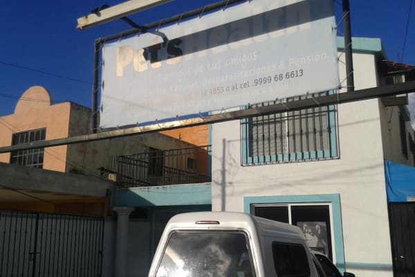 Veterinaria "Pet's Health"