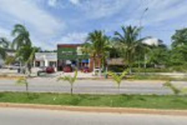 Executive Car Rental