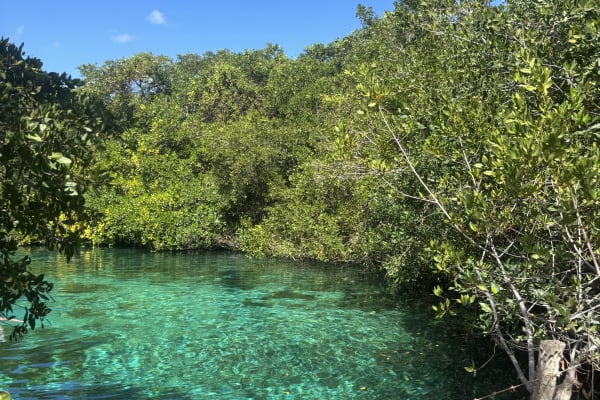 Cenote Manati