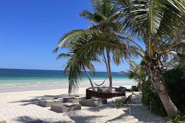 LIBÉLULA TULUM