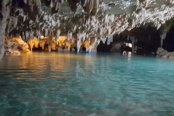 Apartamento en renta o venta Aldea Tulum